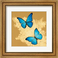 Framed 'Cerulean Butterfly I' border=