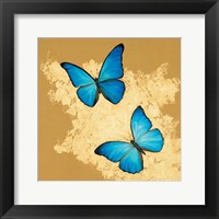 Cerulean Butterfly I Framed Print