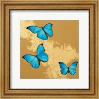 Framed 'Cerulean Butterfly II' border=