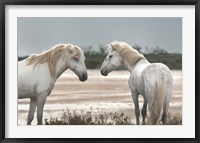 Framed Friendship