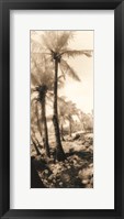 Framed Equatorial Breeze I