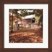 Framed Humpback Fall