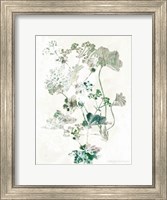 Framed Geranium Botanical