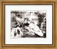 Framed 'Modern Black & White Giraffe' border=