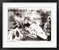 Modern Black & White Giraffe Framed Print