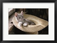 Framed Hat Kitten