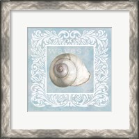 Framed 'Sandy Shells Blue on Blue Snail' border=