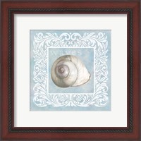 Framed 'Sandy Shells Blue on Blue Snail' border=