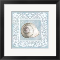 Framed Sandy Shells Blue on Blue Snail