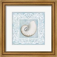 Framed 'Sandy Shells Blue on Blue Nautilus' border=