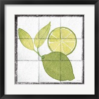 Citrus Tile VII Black Border Framed Print
