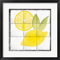 Citrus Tile VI Black Border Framed Print