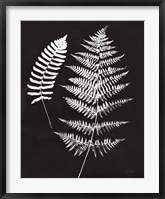 Nature by the Lake Ferns V Black Crop Framed Print