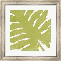 Framed 'Tropical Treasures IV' border=