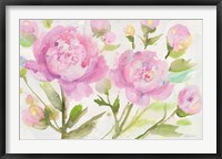 Framed Bright Peonies