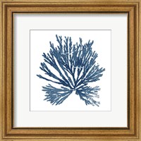 Framed 'Pacific Sea Mosses Blue on White II' border=