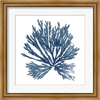 Framed 'Pacific Sea Mosses Blue on White II' border=