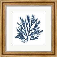 Framed 'Pacific Sea Mosses Blue on White I' border=