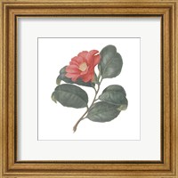 Framed 'Monument Etching Tile Flowers VII' border=