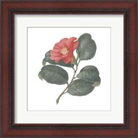 Framed 'Monument Etching Tile Flowers VII' border=