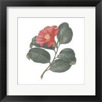 Monument Etching Tile Flowers VII Framed Print