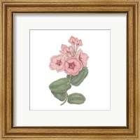 Framed 'Monument Etching Tile Flowers VI' border=