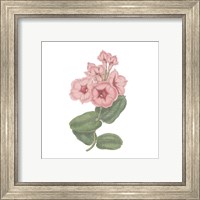 Framed 'Monument Etching Tile Flowers VI' border=