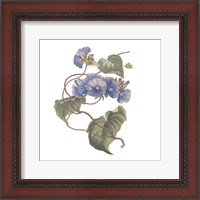 Framed 'Monument Etching Tile Flowers I' border=