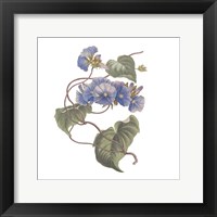 Monument Etching Tile Flowers I Framed Print