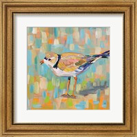 Framed 'Coastal Plover IV' border=