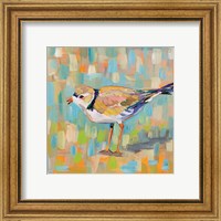 Framed 'Coastal Plover IV' border=