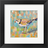 Framed 'Coastal Plover IV' border=