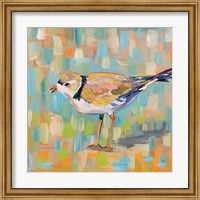 Framed 'Coastal Plover IV' border=