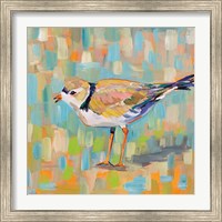 Framed 'Coastal Plover IV' border=