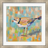 Framed 'Coastal Plover IV' border=