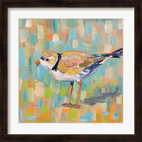 Framed 'Coastal Plover IV' border=