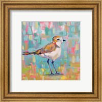 Framed 'Coastal Plover III' border=