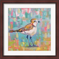 Framed 'Coastal Plover III' border=