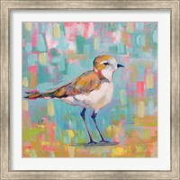 Framed 'Coastal Plover III' border=