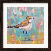 Framed 'Coastal Plover III' border=