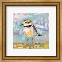 Framed 'Coastal Plover II' border=