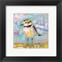 Framed 'Coastal Plover II' border=