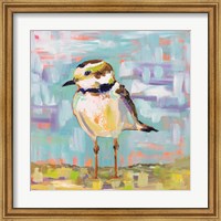 Framed 'Coastal Plover II' border=