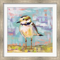 Framed 'Coastal Plover II' border=