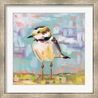 Framed 'Coastal Plover II' border=