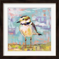 Framed 'Coastal Plover II' border=