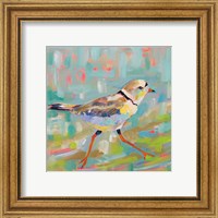 Framed 'Coastal Plover I' border=