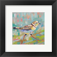 Framed 'Coastal Plover I' border=