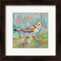 Framed 'Coastal Plover I' border=