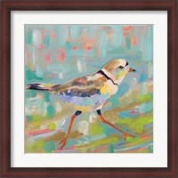 Framed 'Coastal Plover I' border=